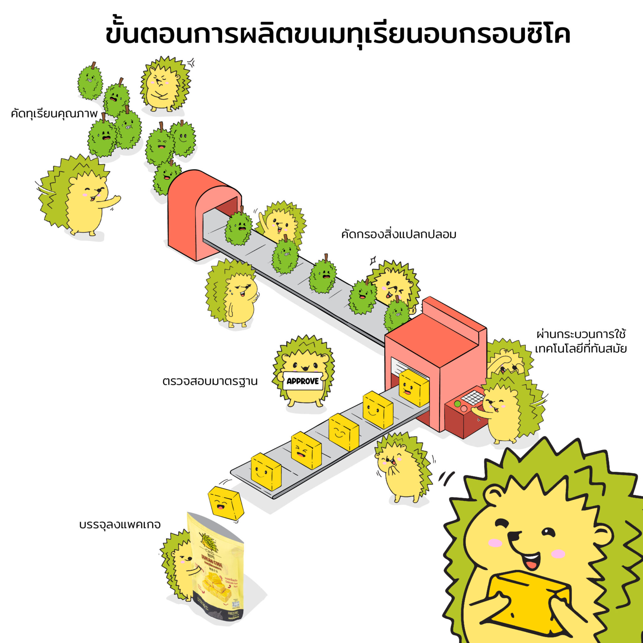 ขั้นตอนการผลิตขนมทุเรียนอบกรอบซิโค